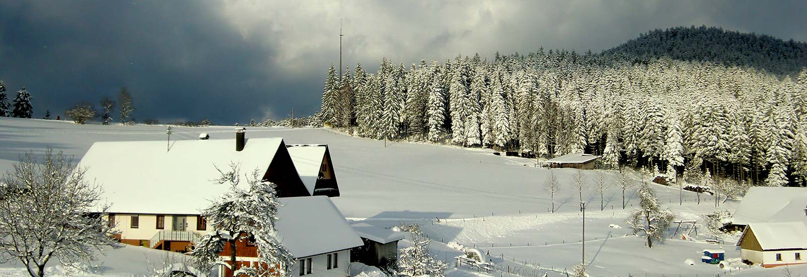 Winterlandschaft im Schwarzwald